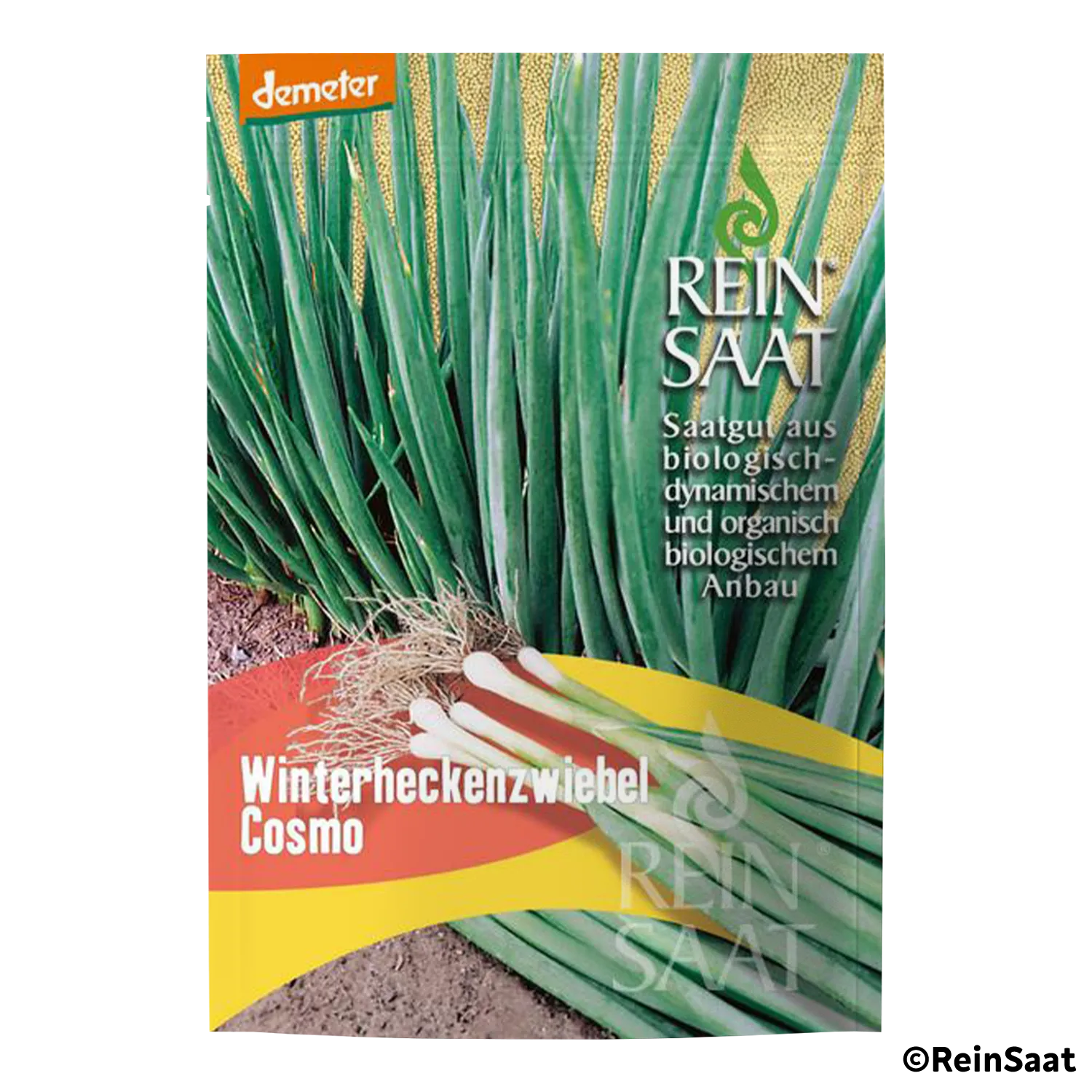 Saatgut Winterheckenzwiebel "Cosmo" Saatgut Winterheckenzwiebel "Cosmo"