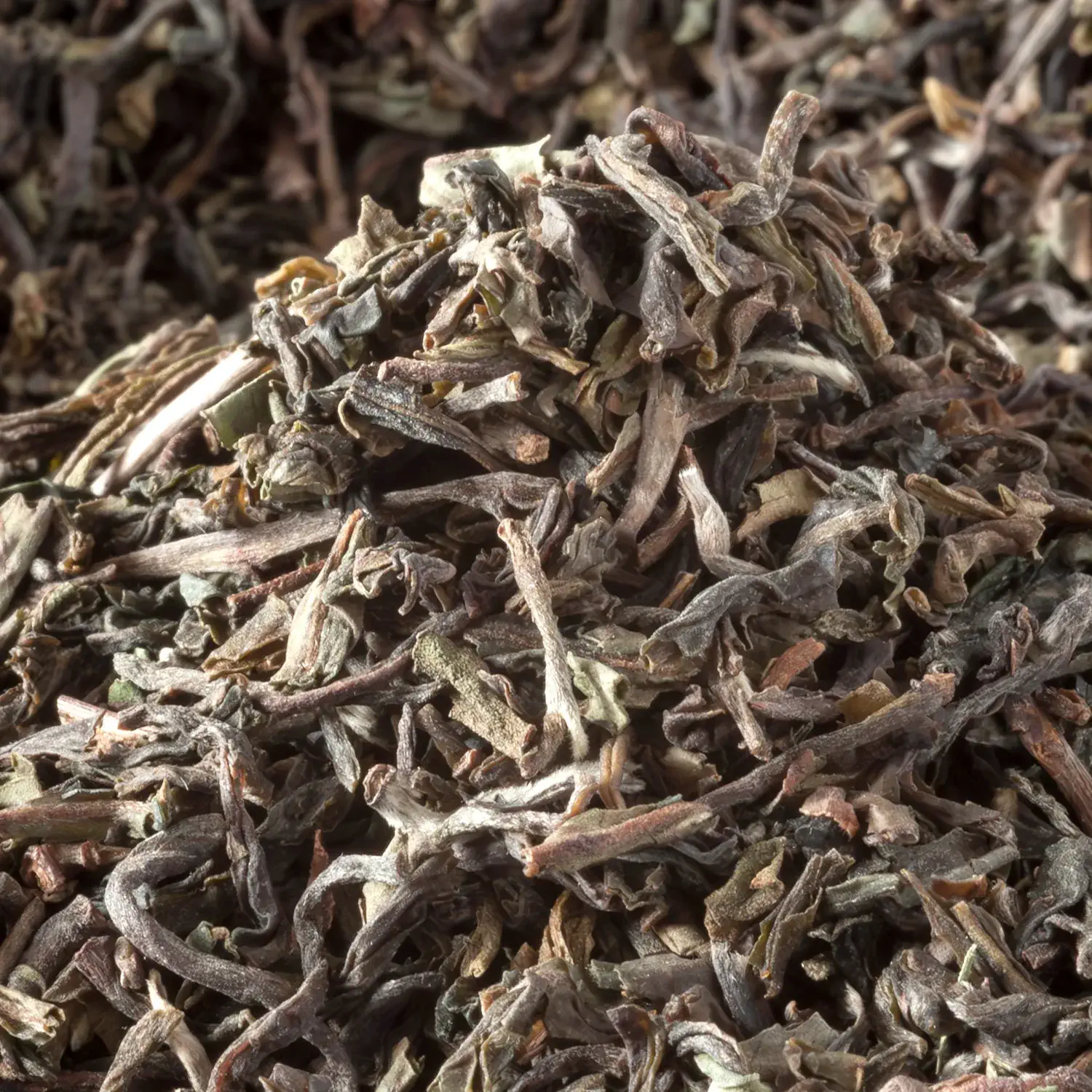 Nahaufnahme von losem Darjeeling Lingia Bio