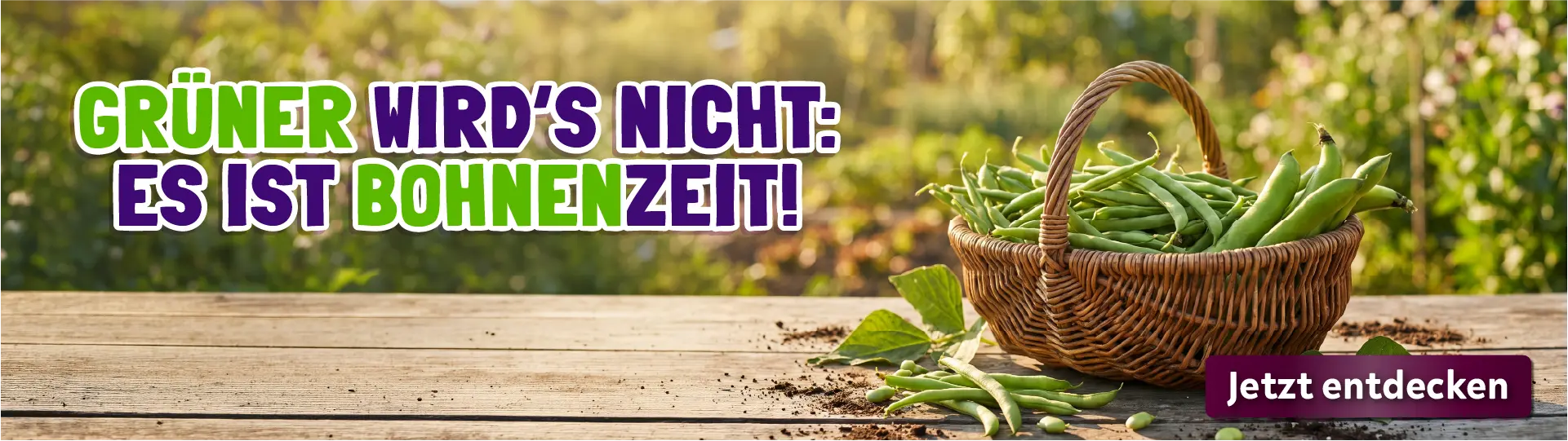 Bohnen Bohnenzeit Header