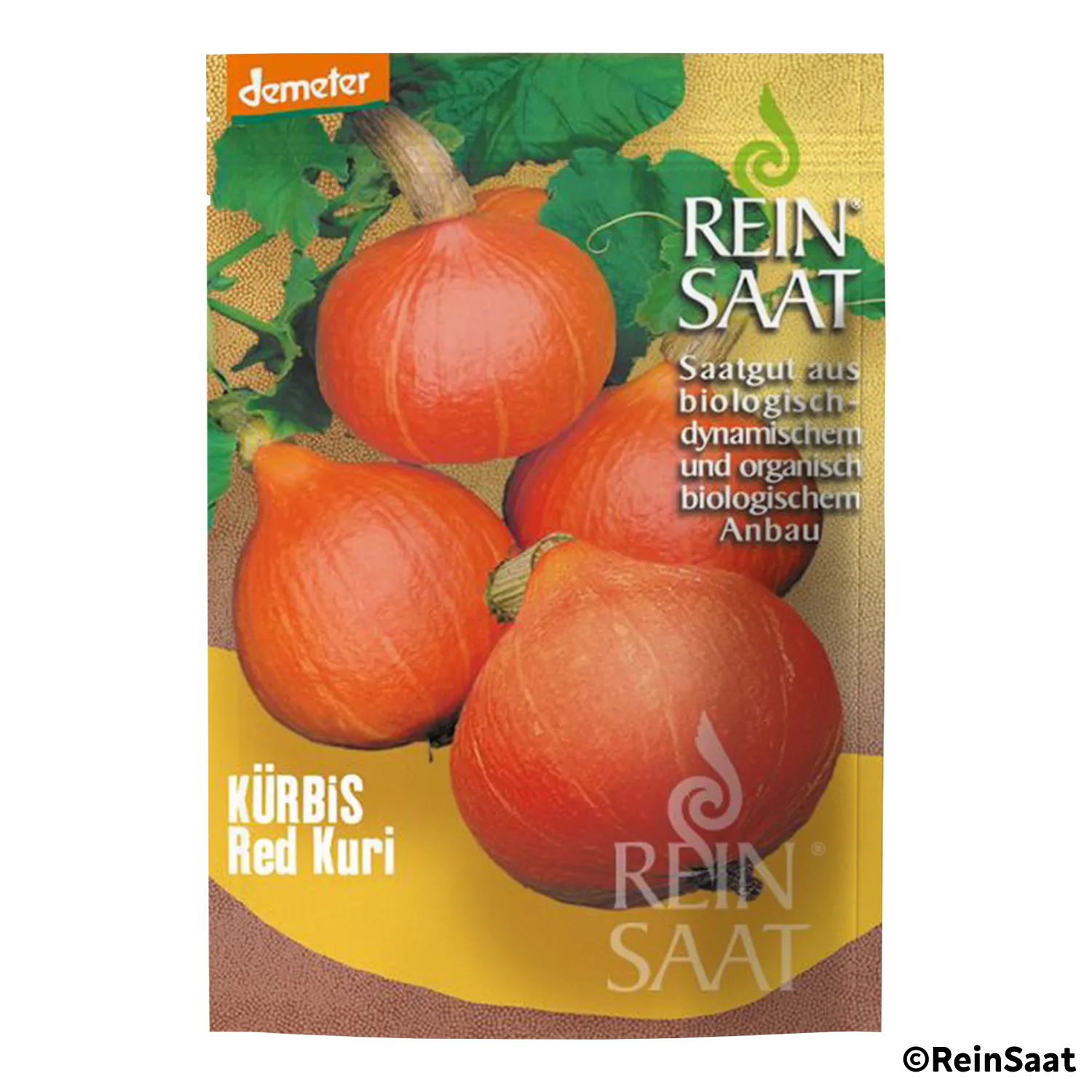 Saatgut Kürbis "Red Kuri" Saatgut Kürbis "Red Kuri"