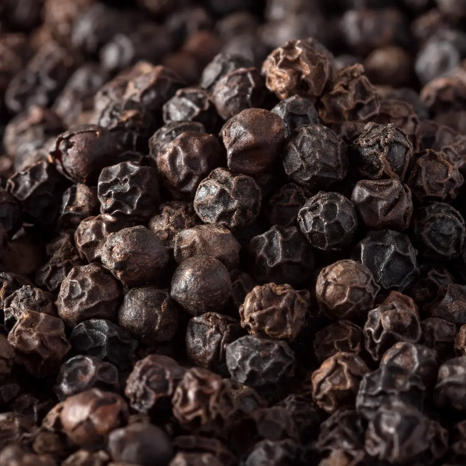 Detailansicht von ganzen Tellicherry-Pfefferkörnern