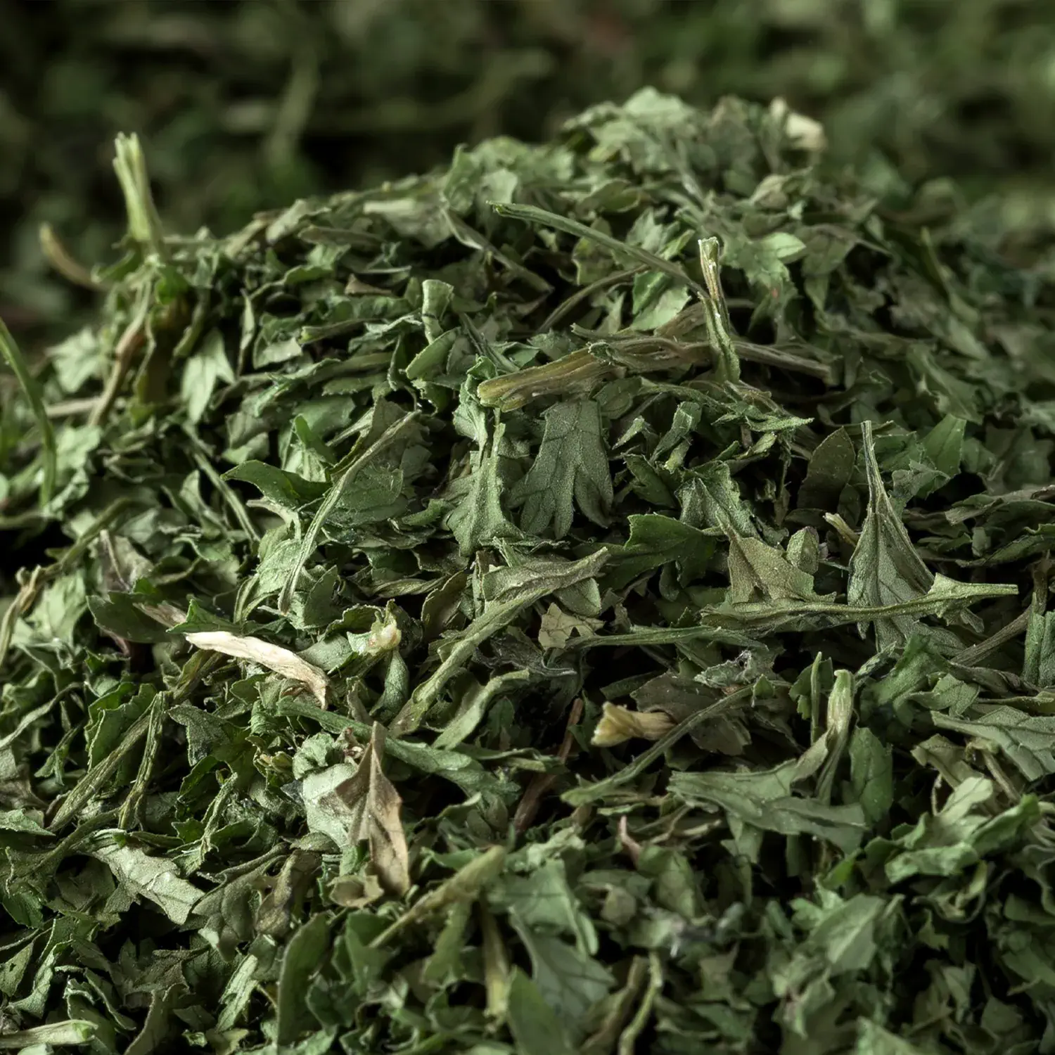 Nahaufnahme von gerebeltem Kerbel