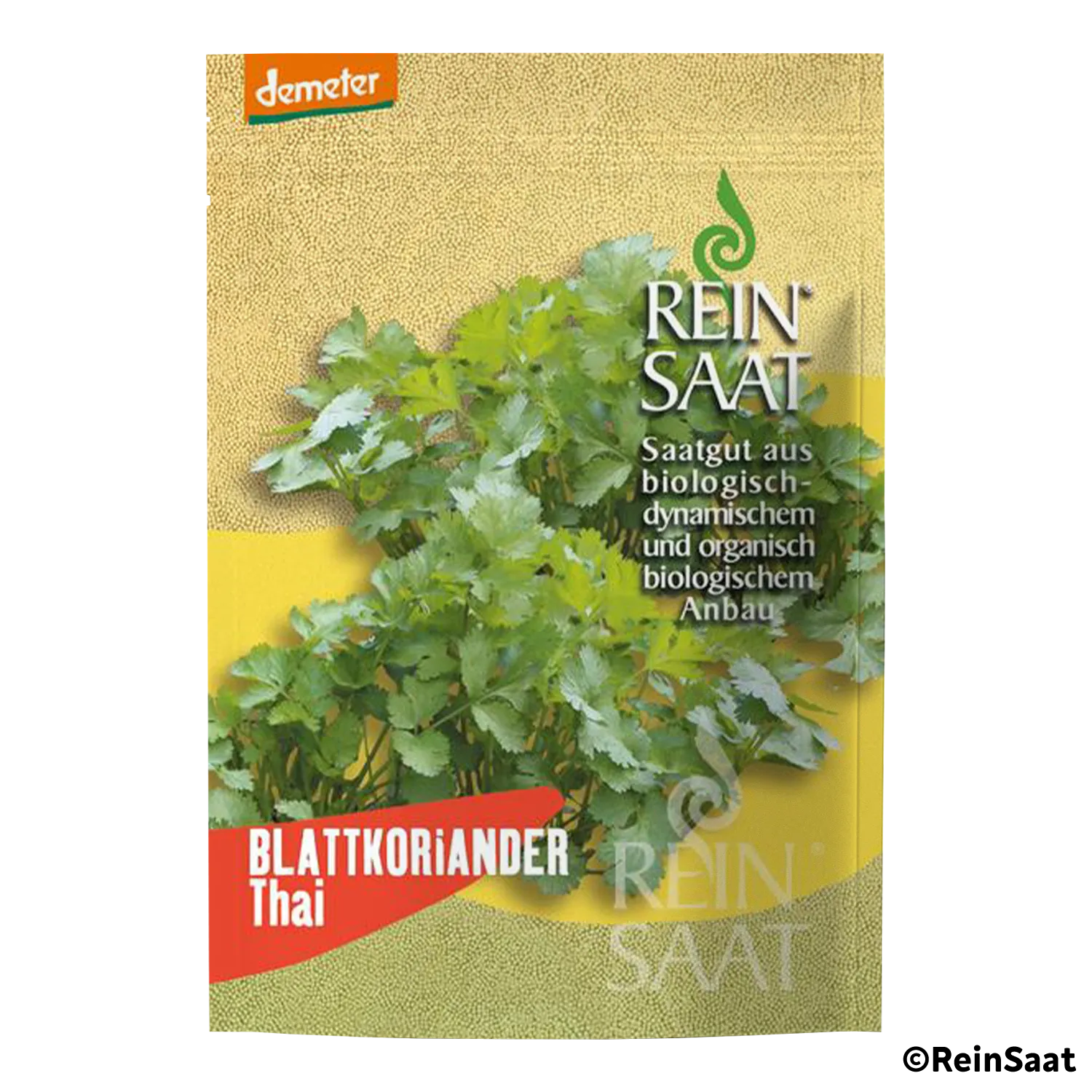 Saatgut Blattkoriander Thai Saatgut Blattkoriander Thai