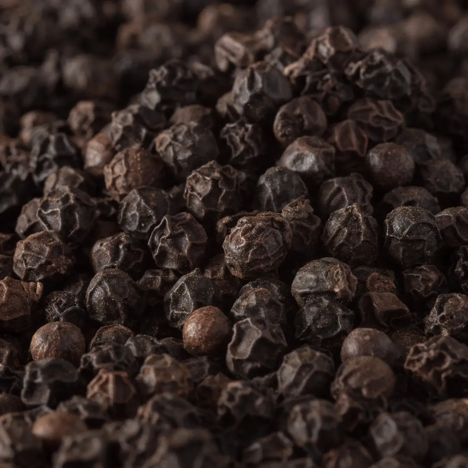 Detailansicht von Malabar-Pfeffer, ganz