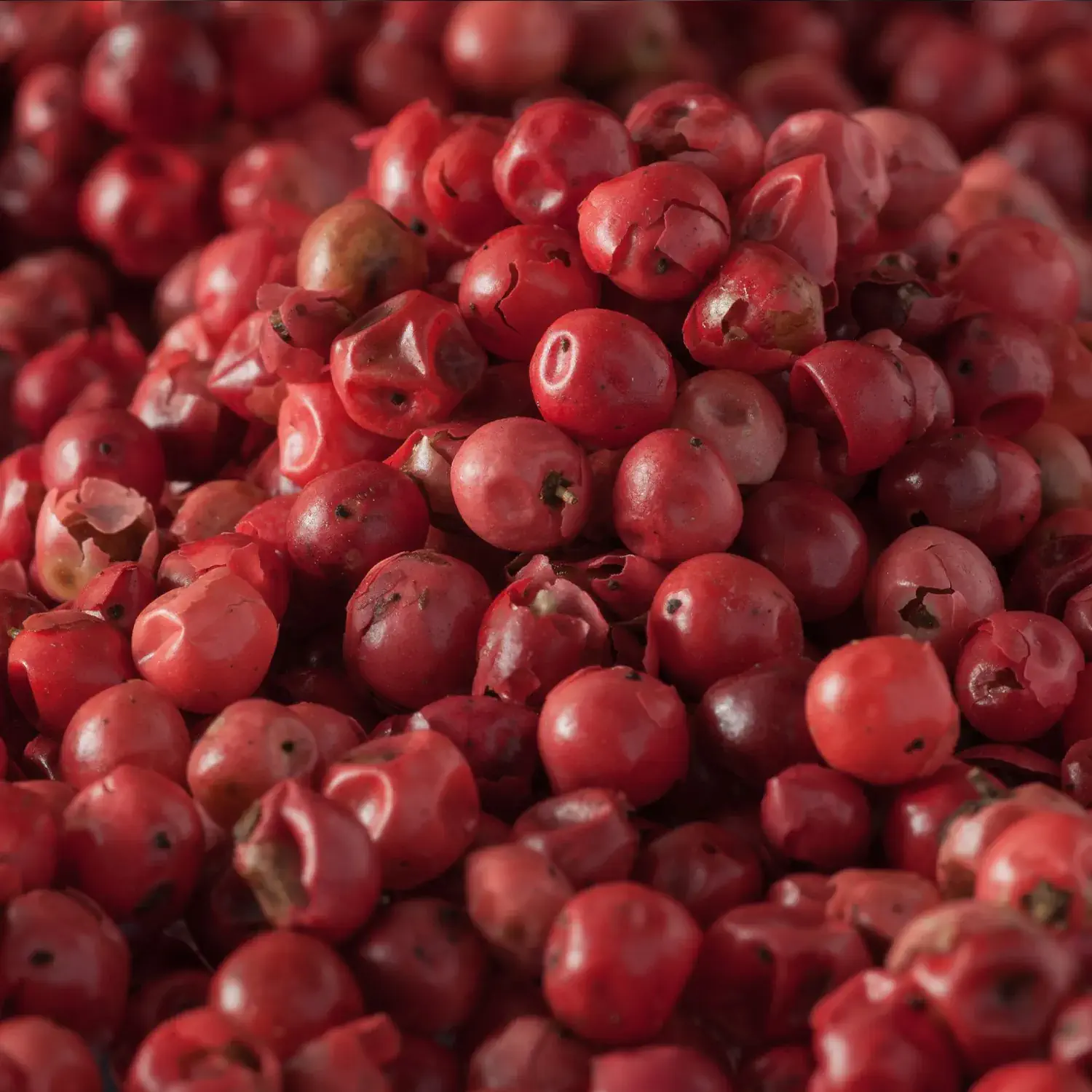 Nahaufnahme von rosa Pfefferbeeren (ganz)