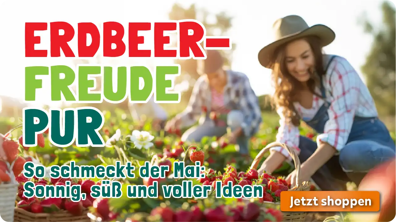 Erdbeerfreude Erdbeer Aktionsbox zum Newsletter