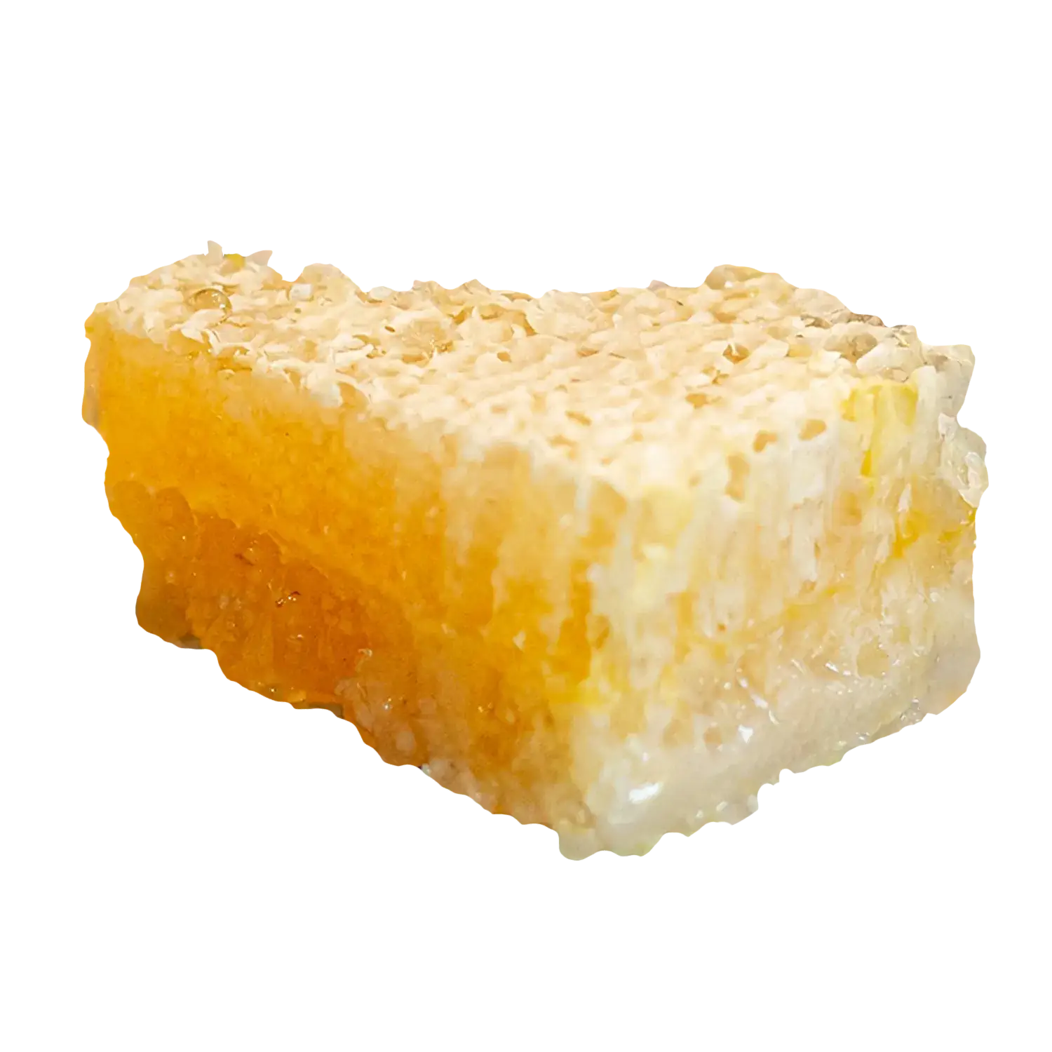 Ein Stück Honigwabe