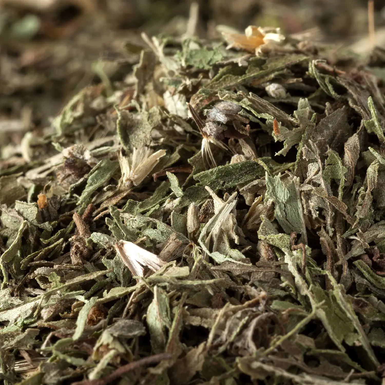 Stevia Süsskraut, geschnitten Geschnittenes Stevia-Süßkraut in einer Holzschale