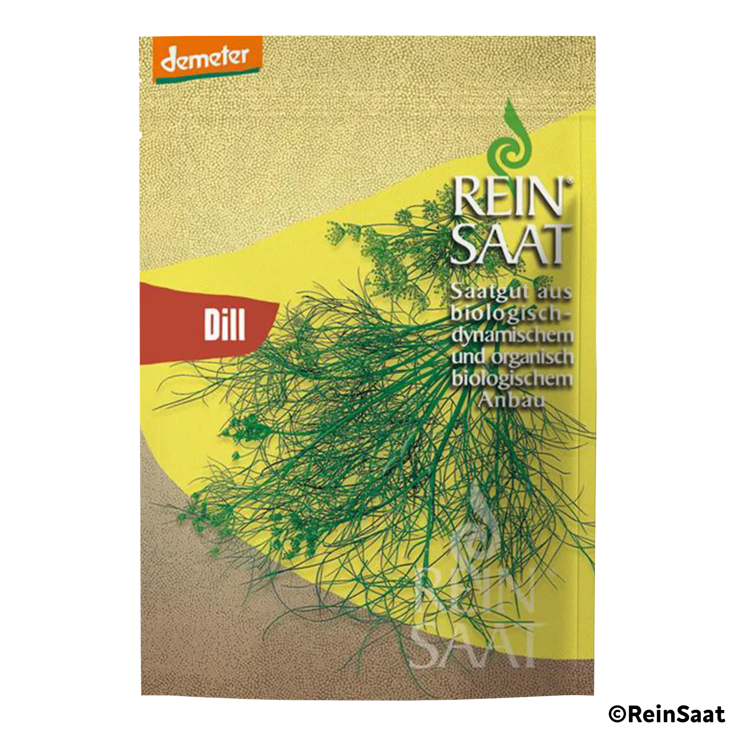 Saatgut Dill Saatgut Dill