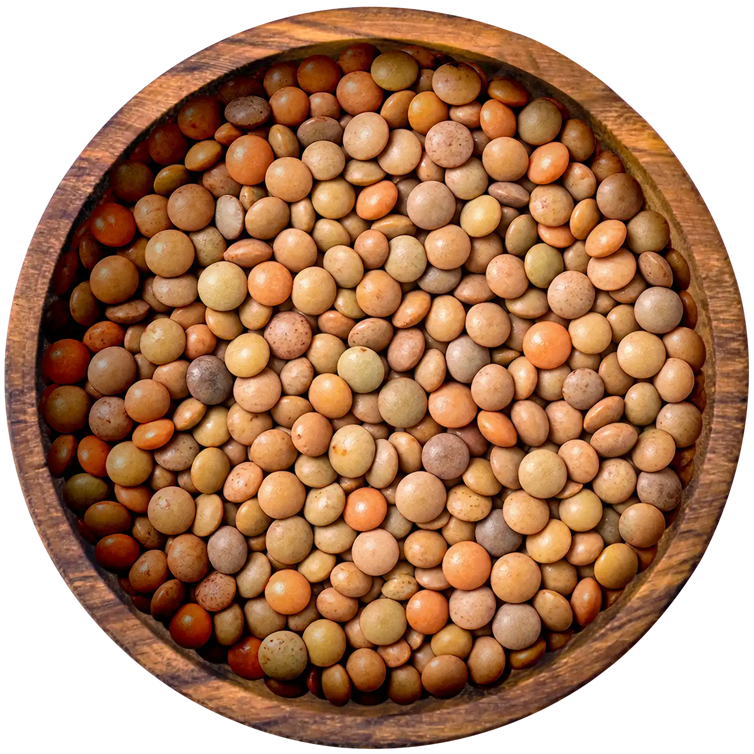 Braune Linsen BIO, Berglinsen