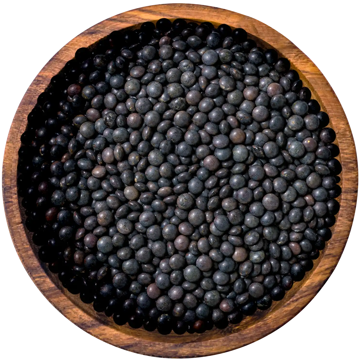 Beluga-Linsen BIO, schwarze Linsen