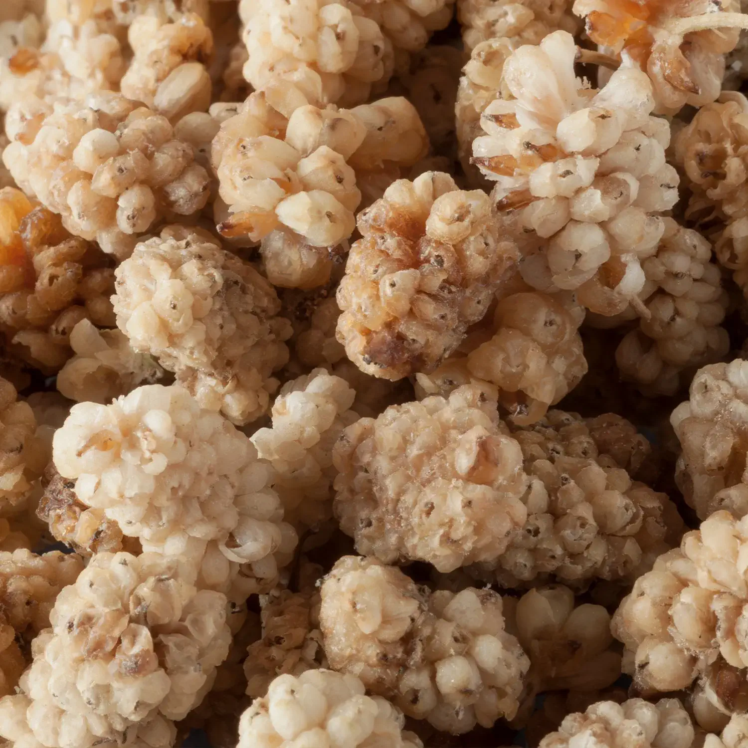 Nahaufnahme von getrockneten Maulbeeren