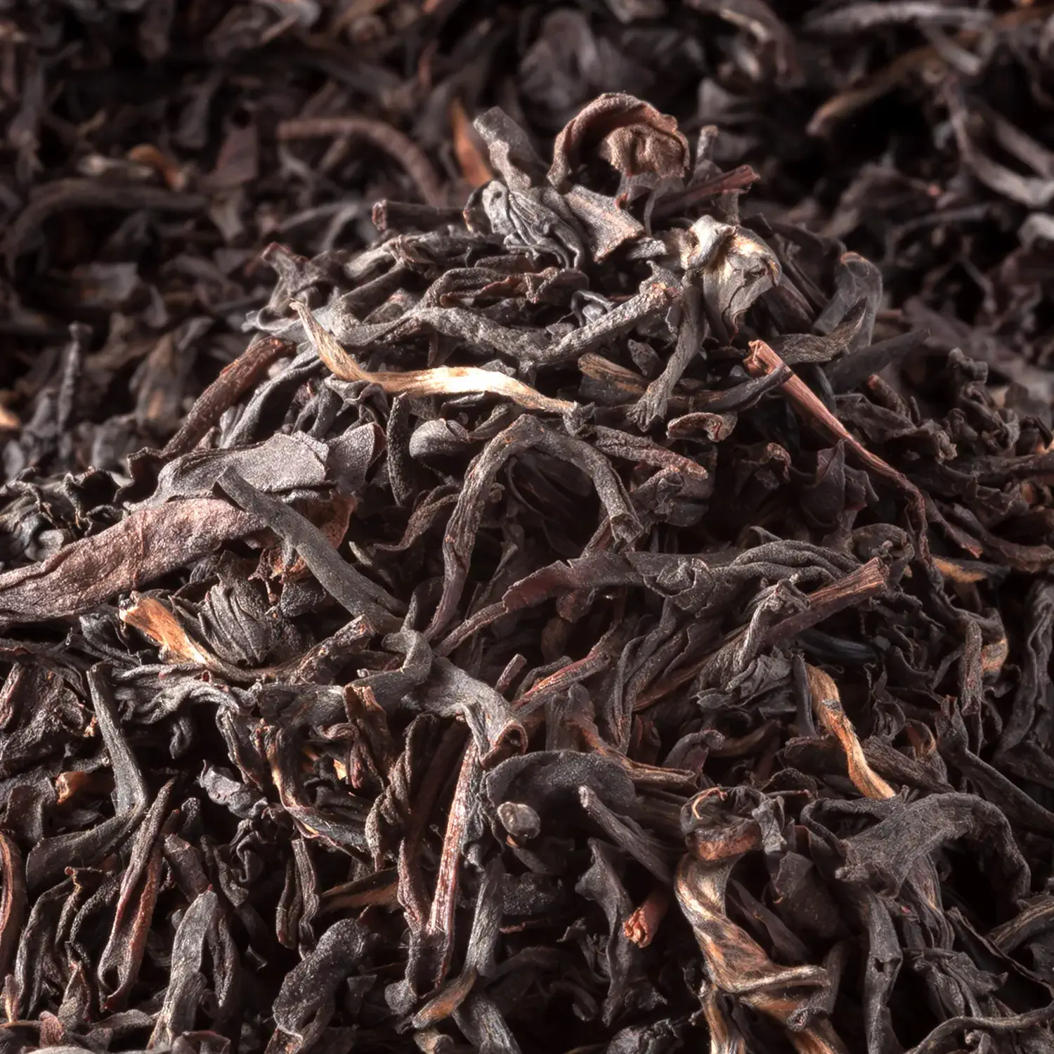 Nahaufnahme von Ostfriesen Goldblatt Schwarztee