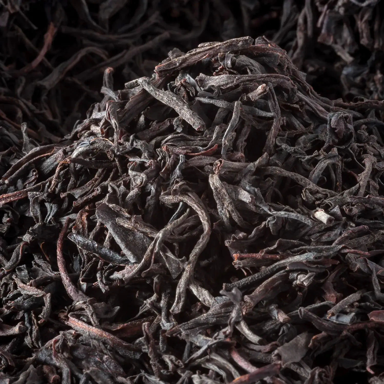 Nahaufnahme von Ceylon Orange Pekoe Schwarztee