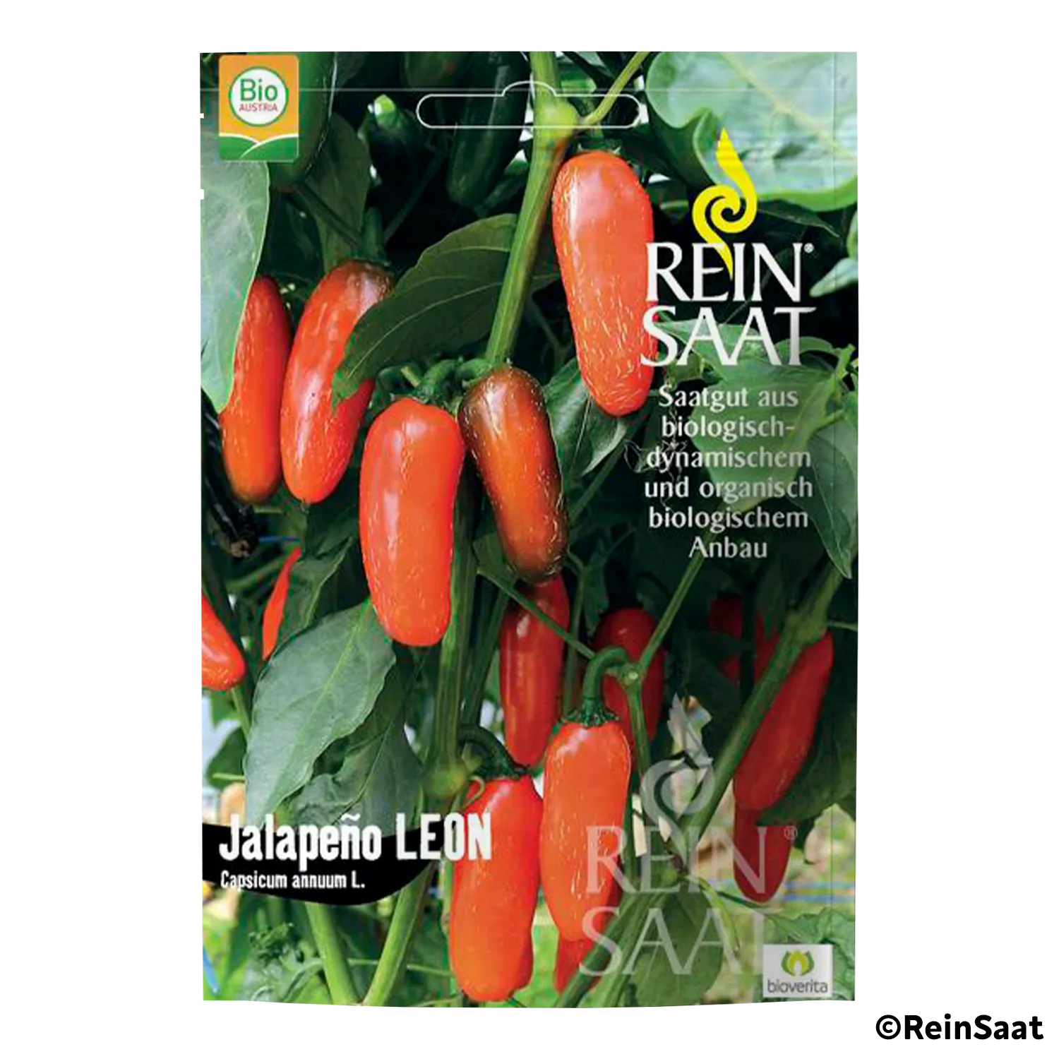 Saatgut Chili "Leon" Saatgut Chili "Leon"