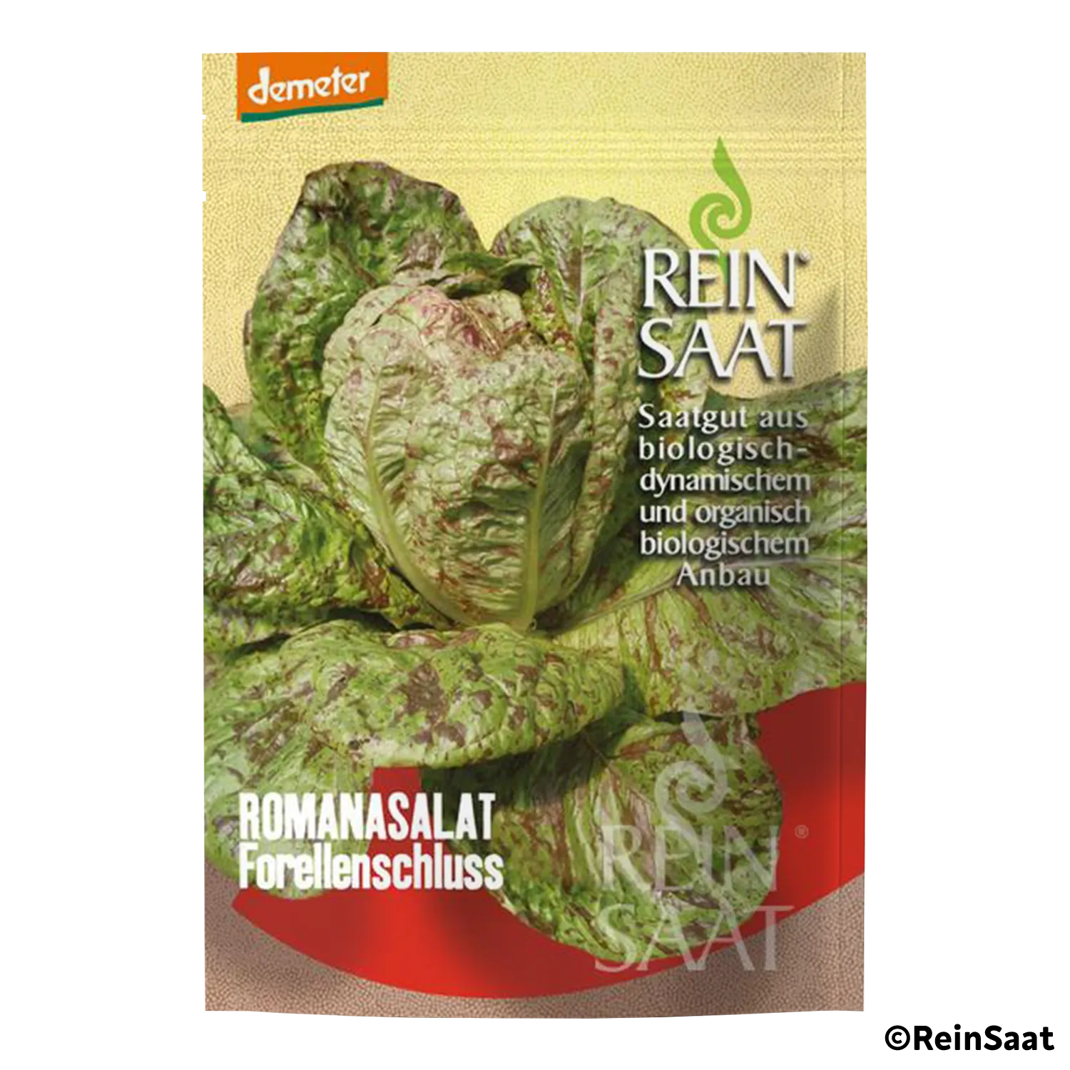 Saatgut Romanasalat "Forellenschluss" Saatgut Romanasalat "Forellenschluss"