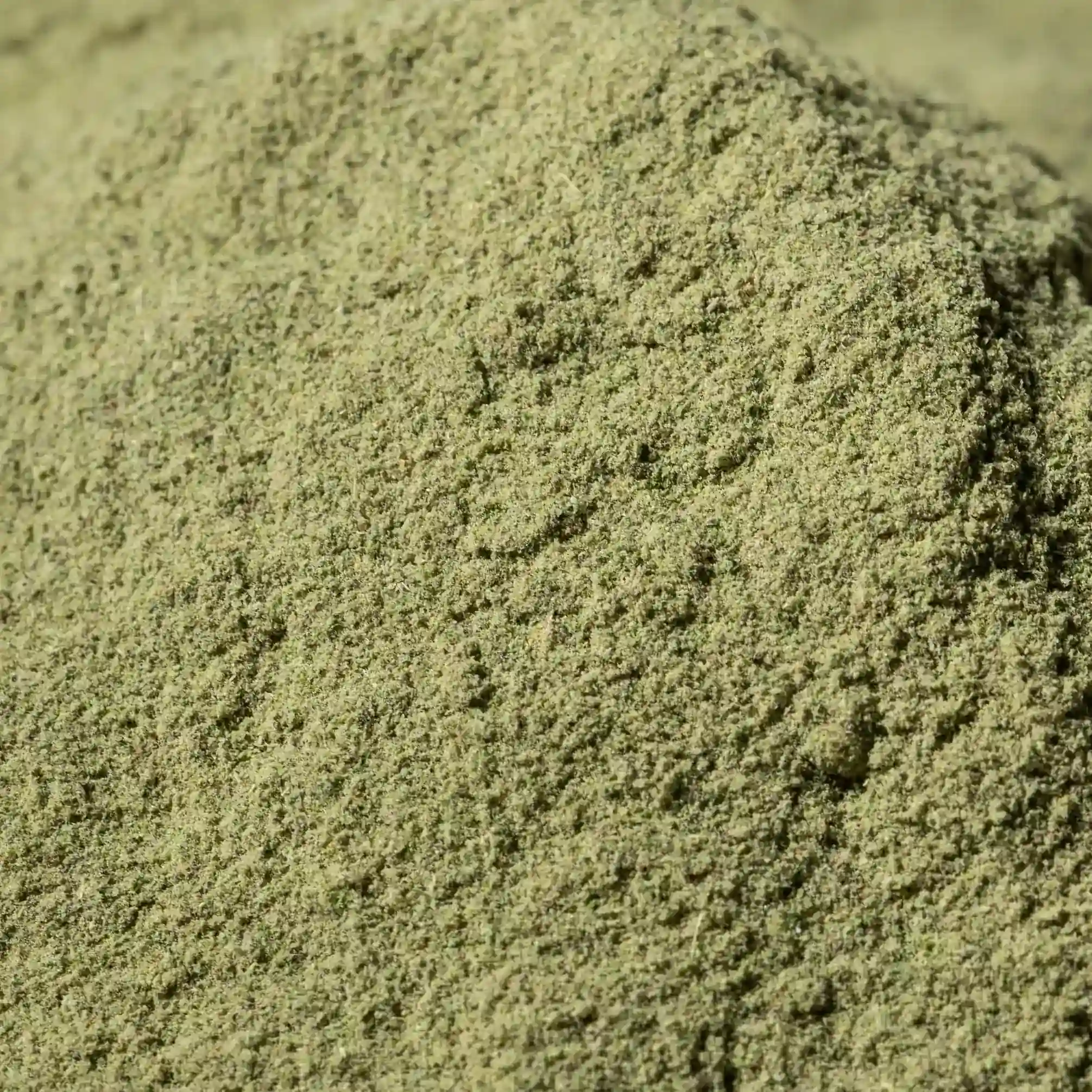 Stevia Süsskraut, gemahlen Gemahlenes Stevia-Süßkraut in einer Holzschale