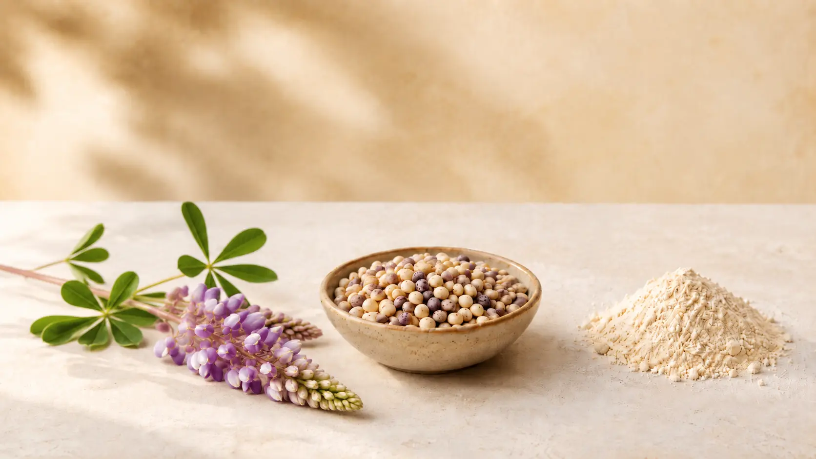 Ratgeber Lupine Moodbild 2