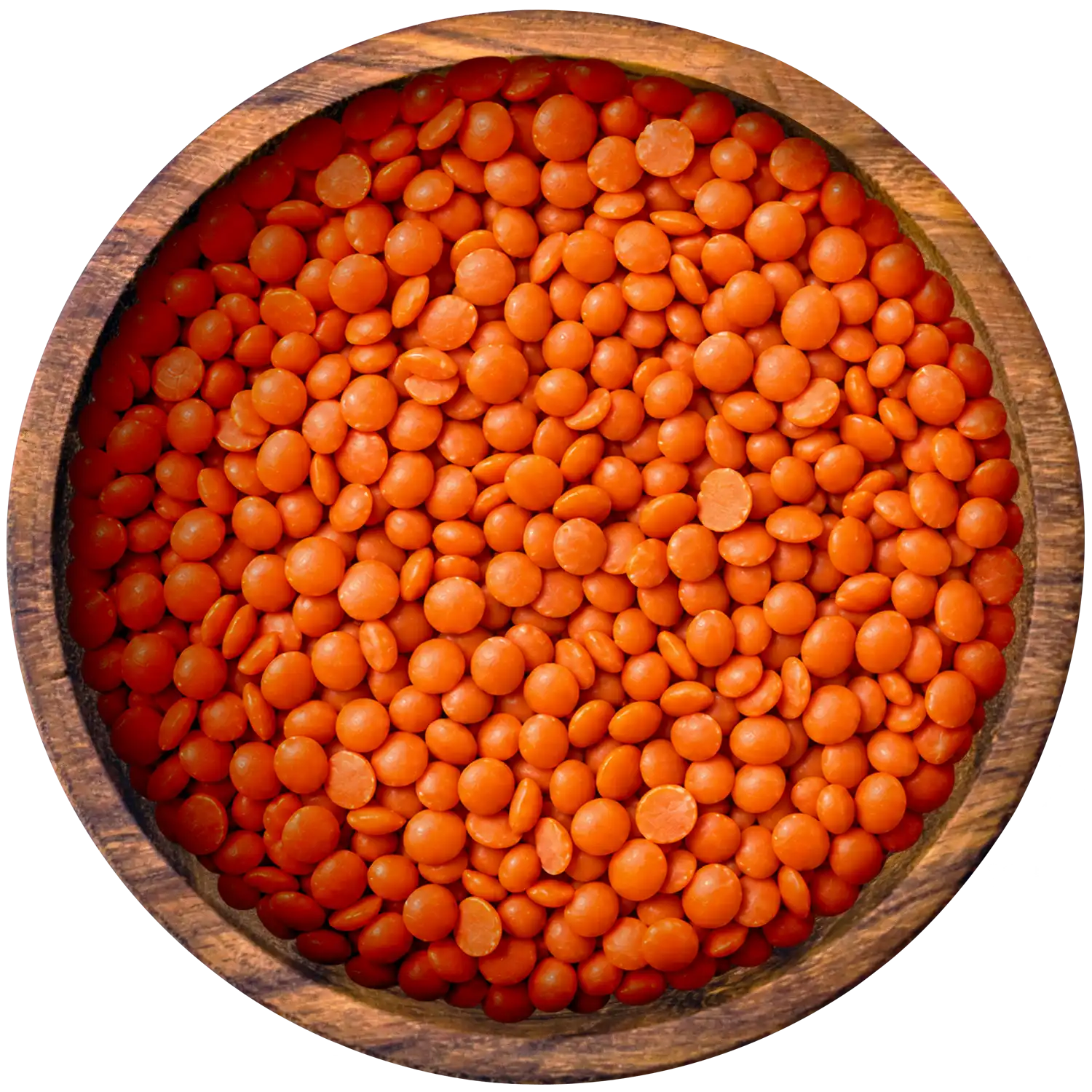 Rote Linsen BIO