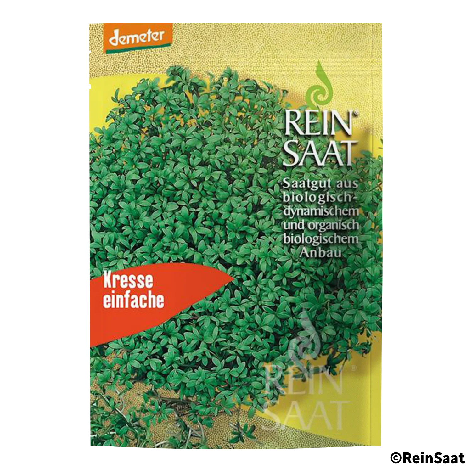 Saatgut Einfache Kresse Saatgut Einfache Kresse