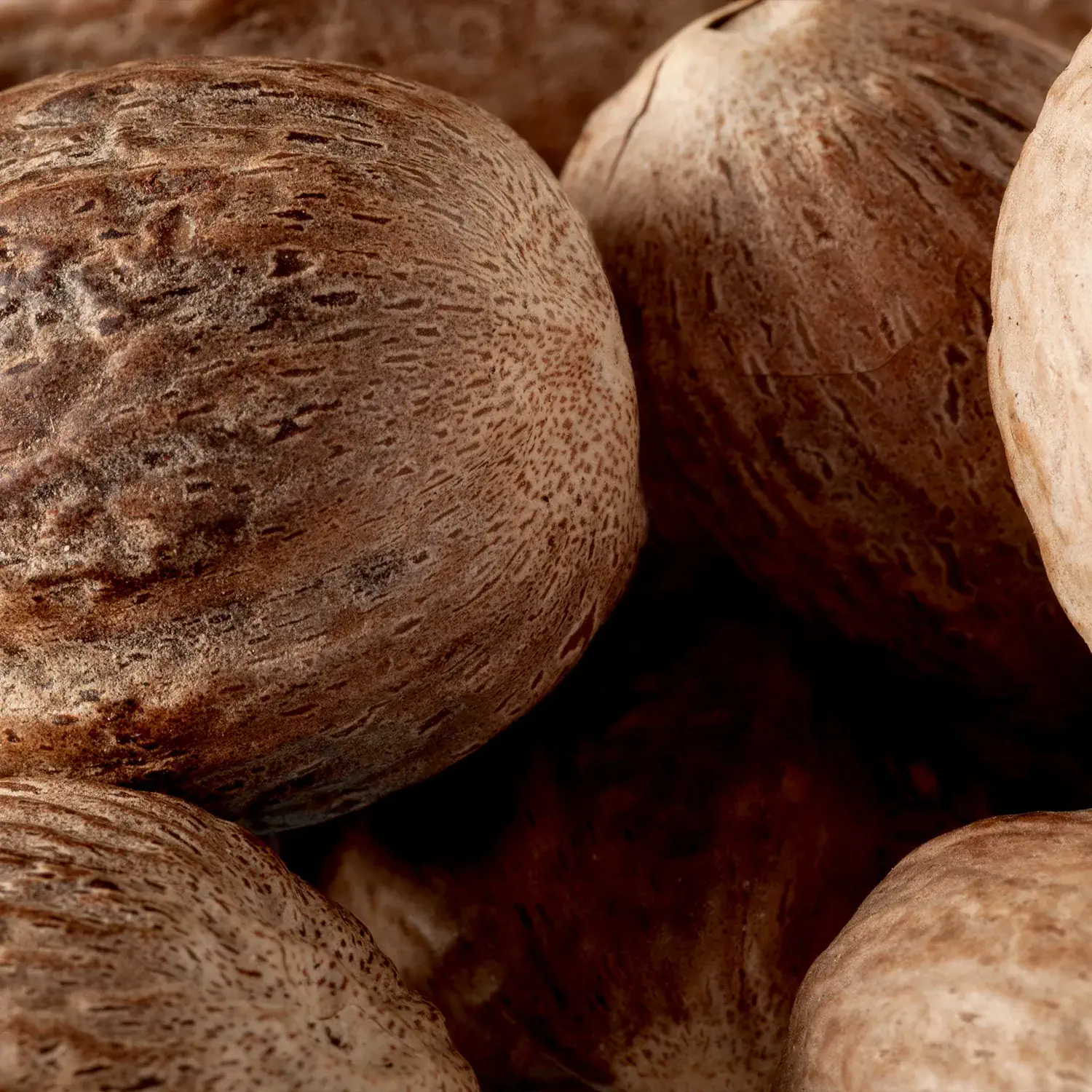 Muskatnuss, ganz Drei ganze Muskatnüsse in einer Holzschale