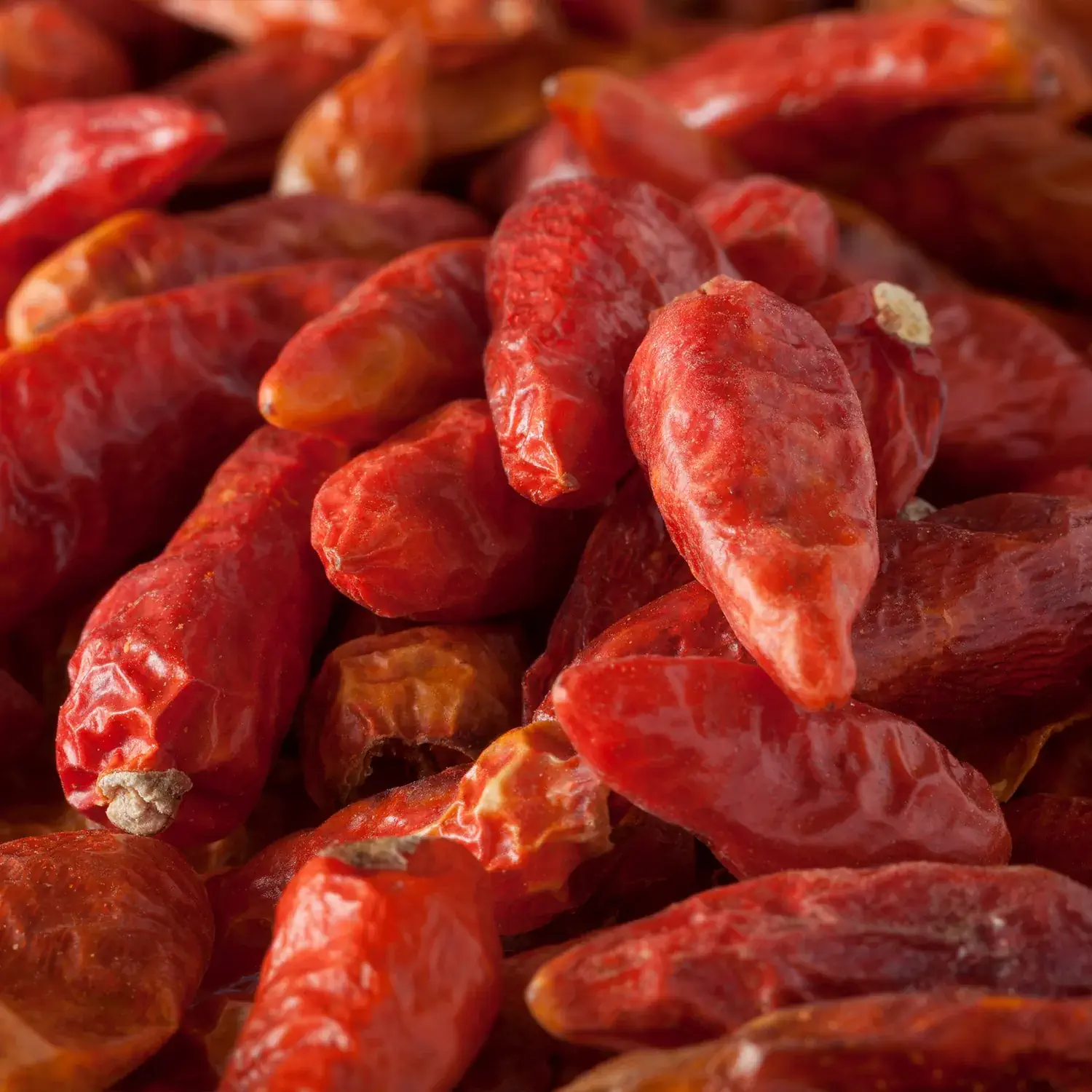 Nahaufnahme von ganzen Bird’s Eye Chilis