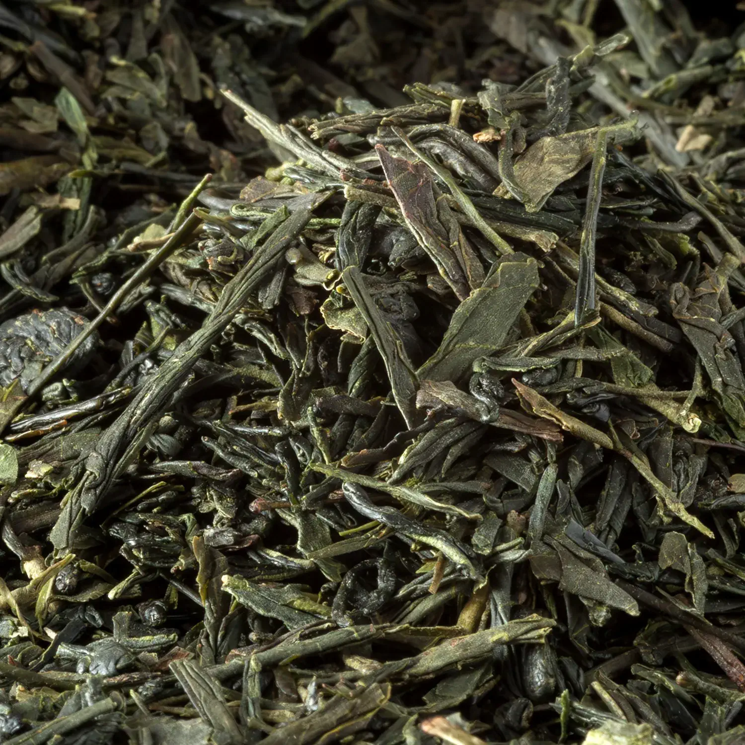 Nahaufnahme von losem japanischem Sencha Bio-Grüntee