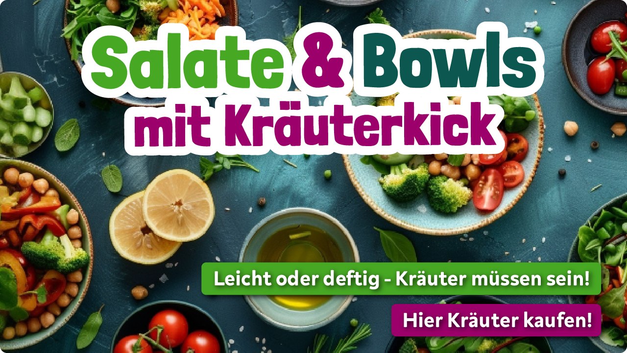Aktionsbox Salatliebe Wir lieben Salat Salate und Bowls