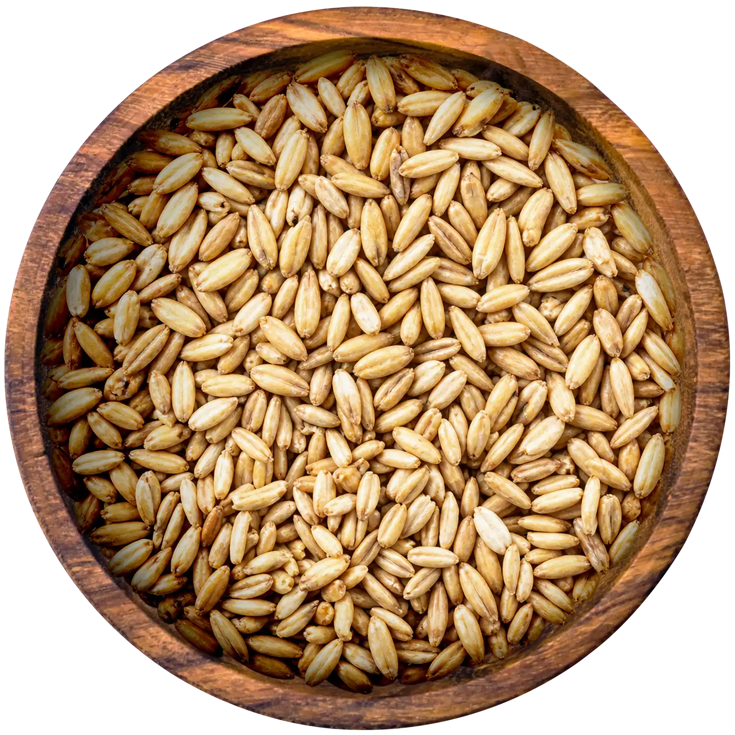 Nackthafer Pur BIO
