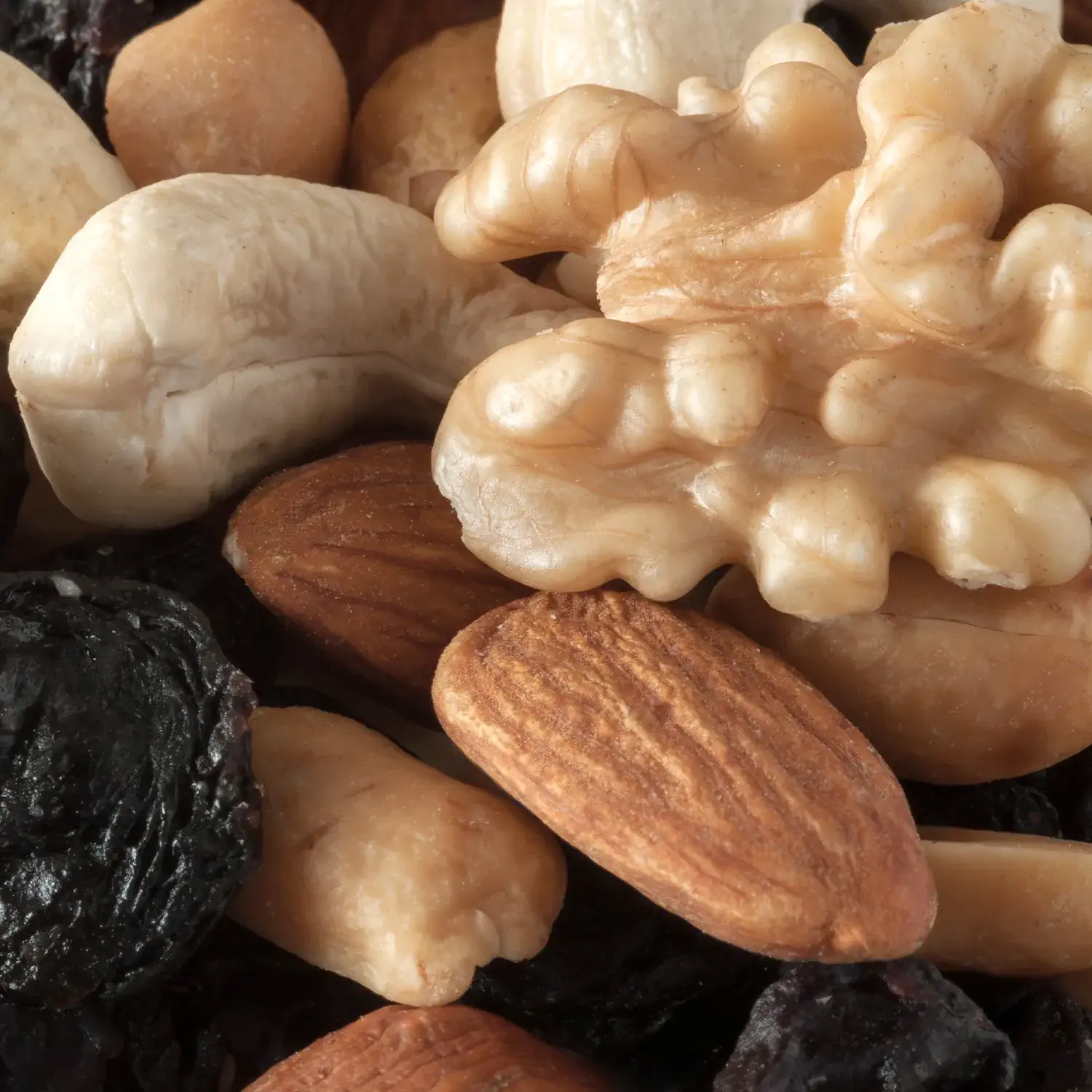 Nahaufnahme der Nuss-Frucht-Mischung Professorenfutter