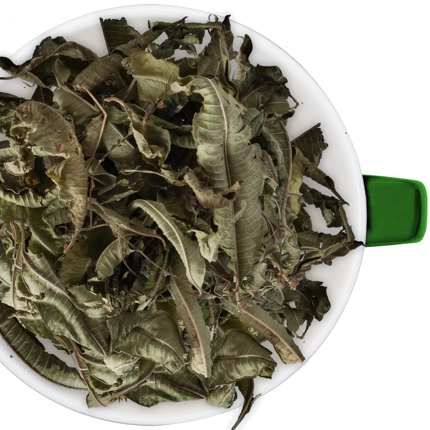 Zitronen-Verbene Tee, Kräutertee Loser Eisenkraut-Tee (Verbene) in einer Tasse