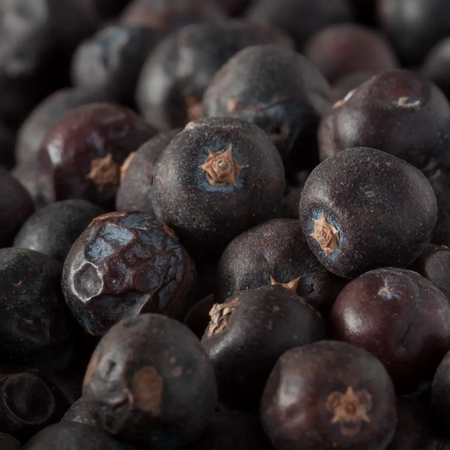 Nahaufnahme von ganzen Wacholderbeeren