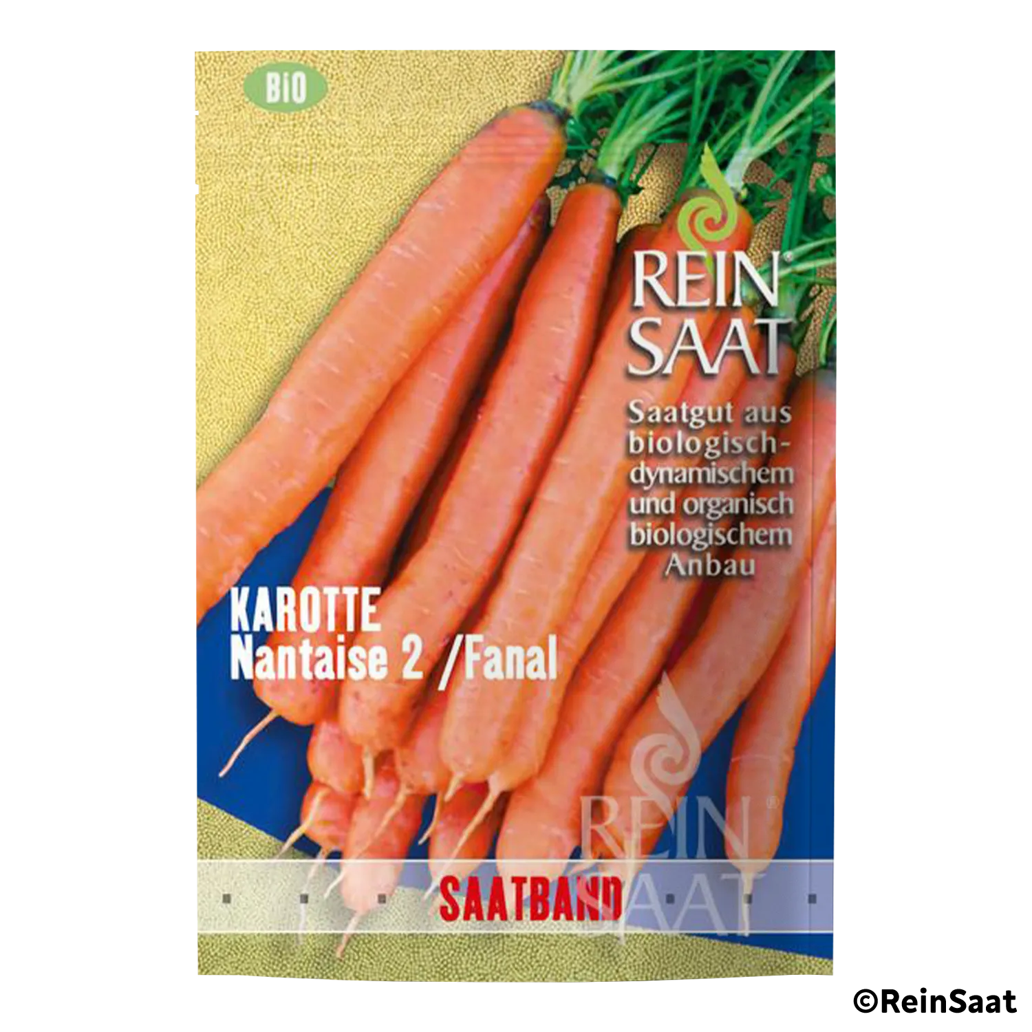 Klam Rotte Karotte Nantaise 2/Fanal Saatgut kaufen | Glatt & aromatisch