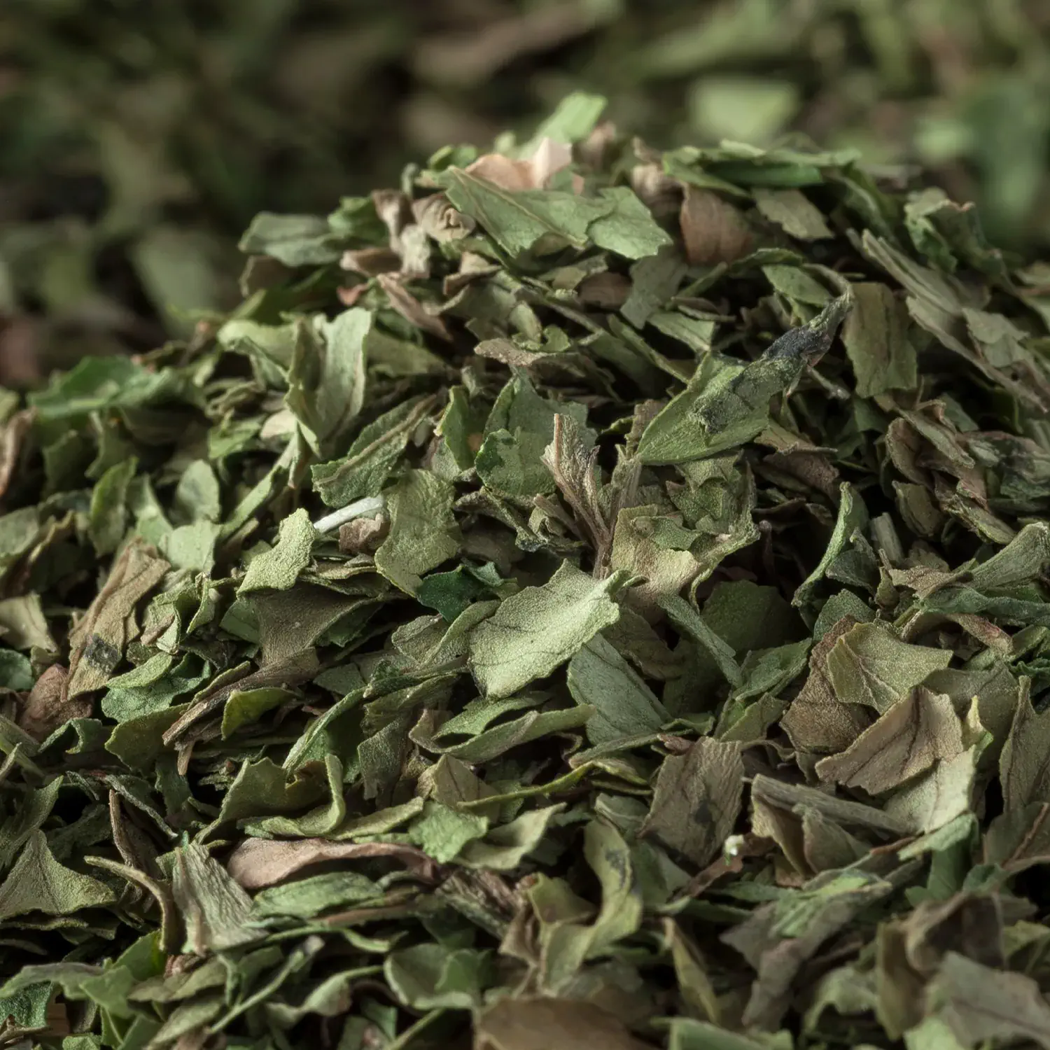 Nahaufnahme von gerebeltem Liebstöckel