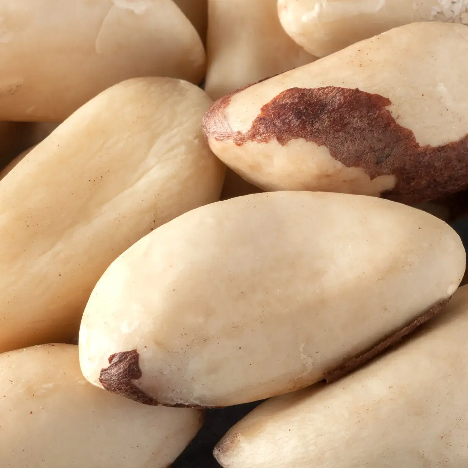 Nahaufnahme von Bio-Paranüssen