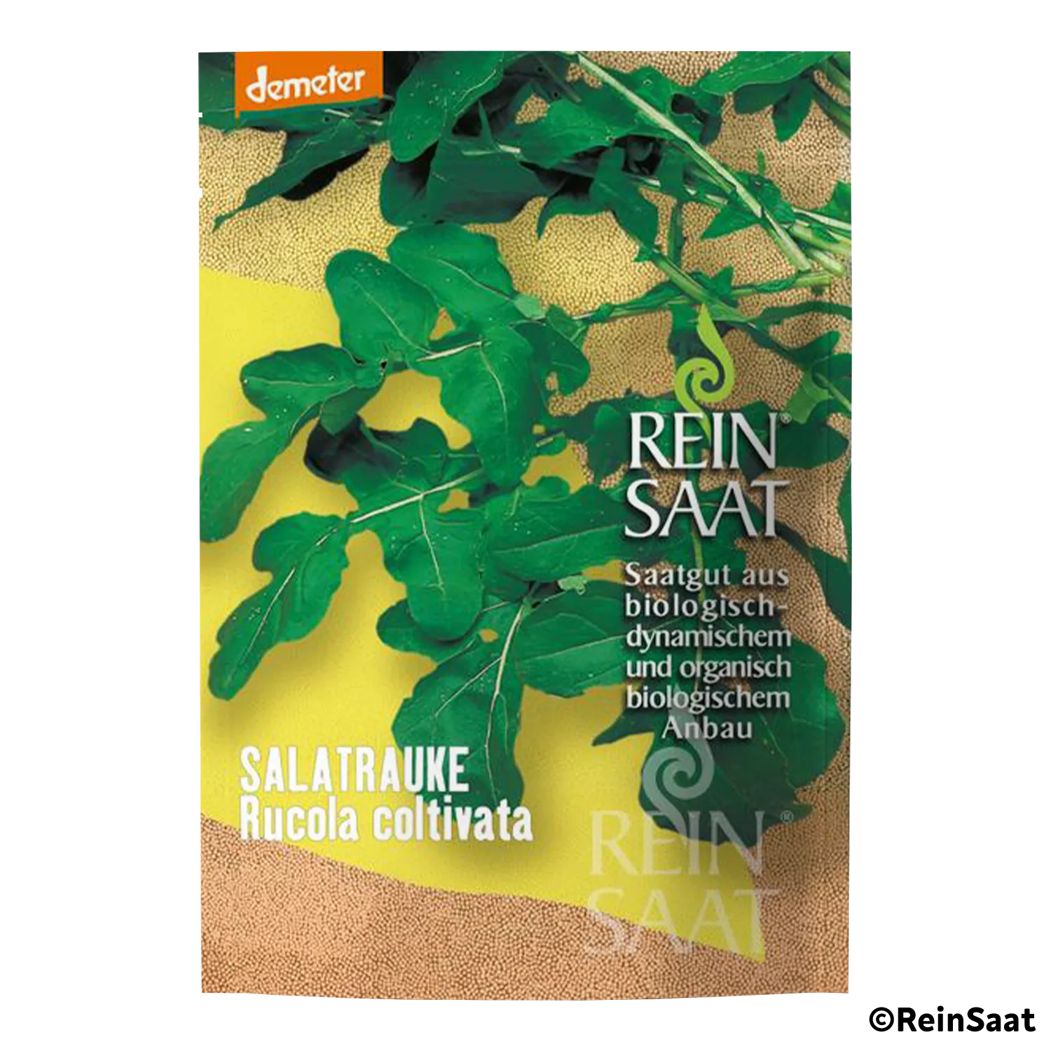 Saatgut Salatrauke "Rucola coltivata" Saatgut Salatrauke "Rucola coltivata"